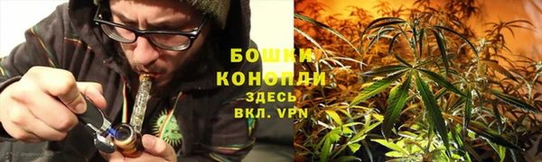 дурь Киреевск