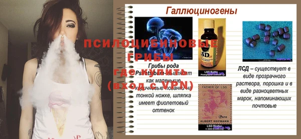 дурь Киреевск