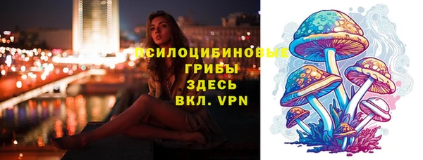 скорость Козловка